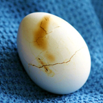 Burnt shell on a hard boiled egg